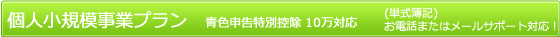 個人小規模事業プラン　青色申告特別控除 10万対応