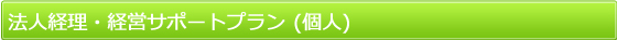 法人経理・経営サポートプラン (個人)