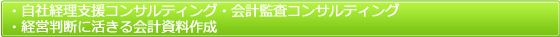 ・自社経理支援コンサルティング・会計監査コンサルティング・経営判断に活きる会計資料作成